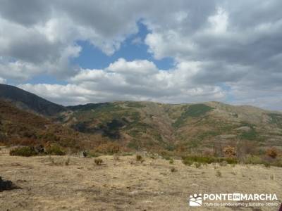 Paseo por el Hayedo de Tejera Negra - Senderismo Cantalojas, Guadalajara; senderismo galicia